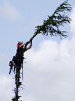image/_topkapning-210.jpg