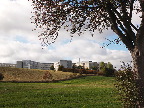 image/_novo_nordisk-492.jpg