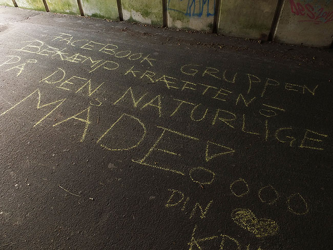 image/ord_paa_vejen-005.jpg