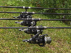 image/_karpefiskere-0463.jpg