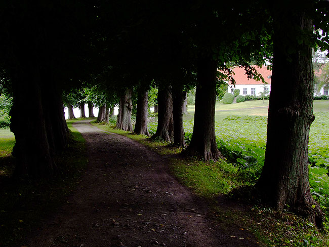 image/farumgaards_alle-367.jpg