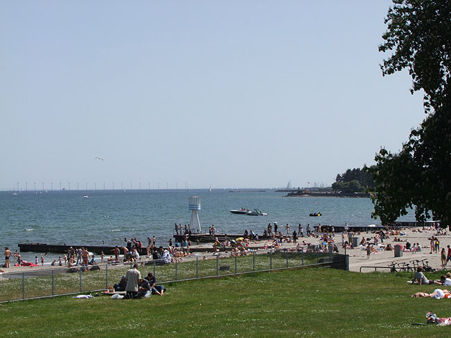 image/bellevue-18.jpg