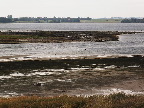 image/_meget_lavvandet-426.jpg