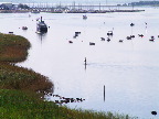image/_roskilde_fjord-002.jpg