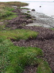 image/_roskilde_fjord-146.jpg