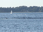 image/_roskilde_fjord-170.jpg