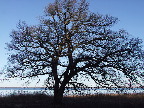 image/_roskilde_fjord-369.jpg