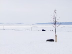 image/_roskilde_fjord-434.jpg