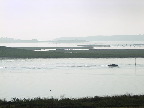 image/_roskilde_fjord-470.jpg