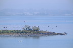 image/_roskilde_fjord-4825.jpg