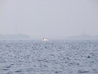 image/_roskilde_fjord-549.jpg