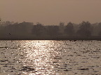 image/_roskilde_fjord-552.jpg