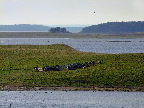 image/_roskilde_fjord-581.jpg