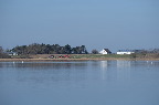 image/_roskilde_fjord-6616.jpg