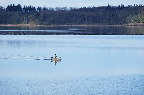 image/_roskilde_fjord-6872.jpg