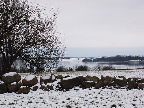 image/_roskilde_fjord-7575.jpg