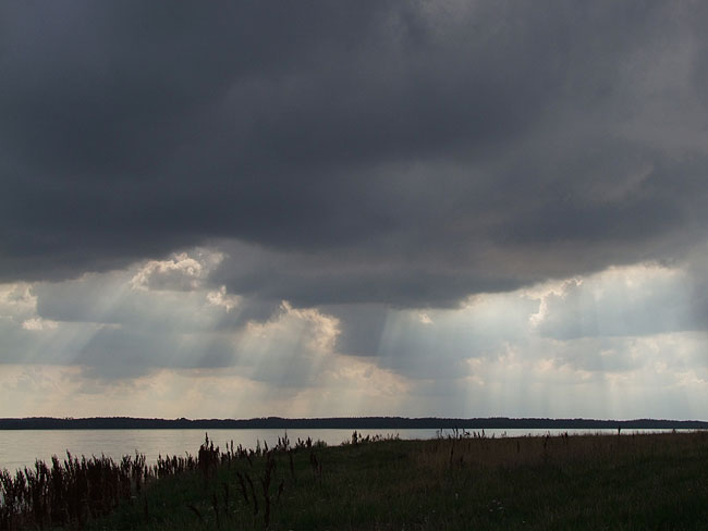 image/roskilde_fjord-196.jpg