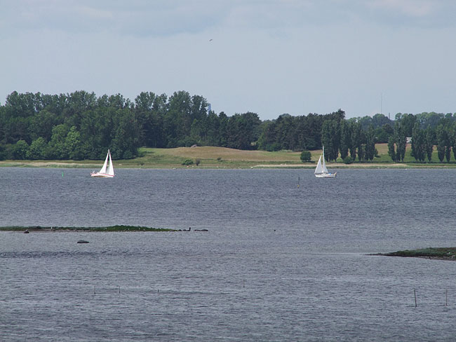 image/roskilde_fjord-251.jpg