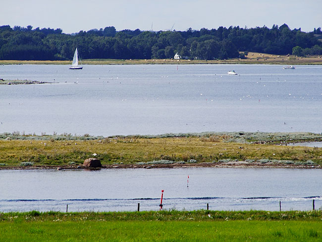 image/roskilde_fjord-295.jpg