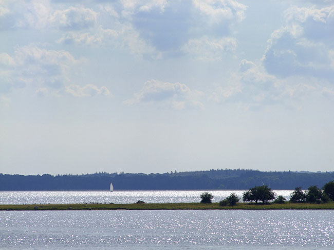 image/roskilde_fjord-310.jpg