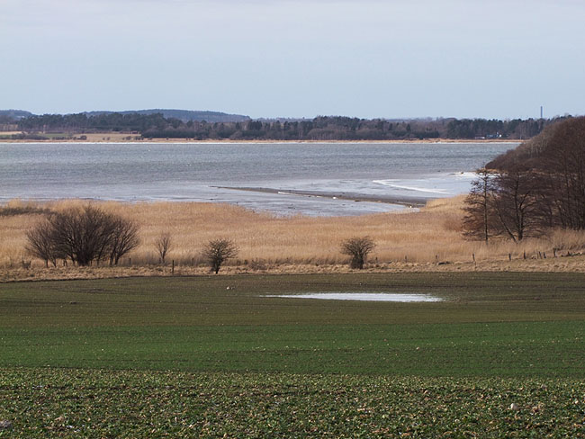image/roskilde_fjord-383.jpg