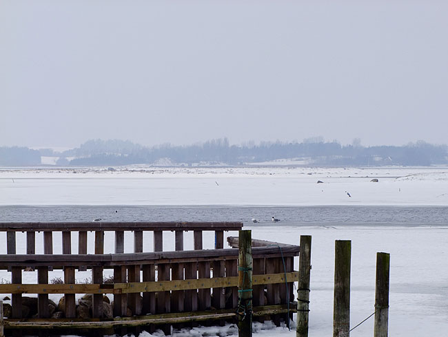 image/roskilde_fjord-385.jpg