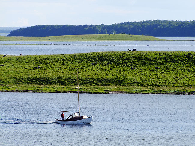 image/roskilde_fjord-421.jpg