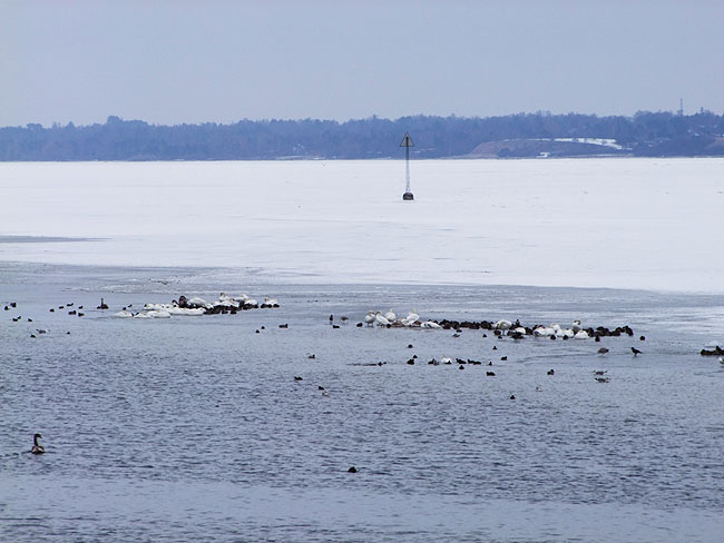 image/roskilde_fjord-444.jpg