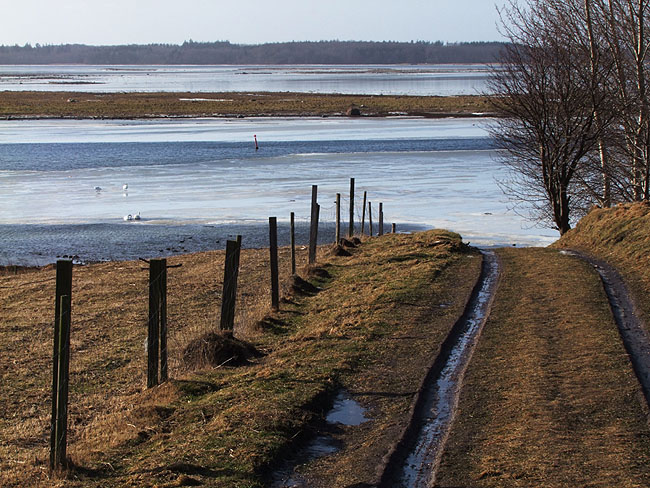 image/roskilde_fjord-451.jpg