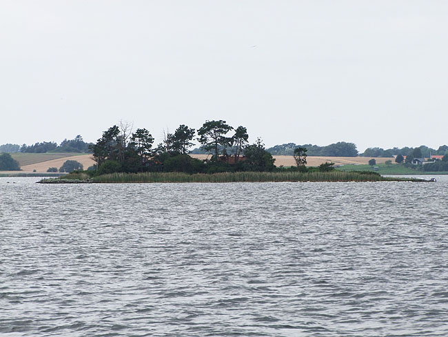 image/roskilde_fjord-513.jpg