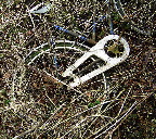 image/_naturen_og_gl._cykel-16.jpg