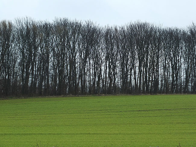 image/landskab-6885.jpg