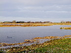 image/_skenkelsoe_omraadet-393.jpg