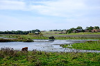 image/_skenkelsoe_omraadet-593.jpg
