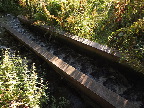 image/_fisketrappe-0534.jpg