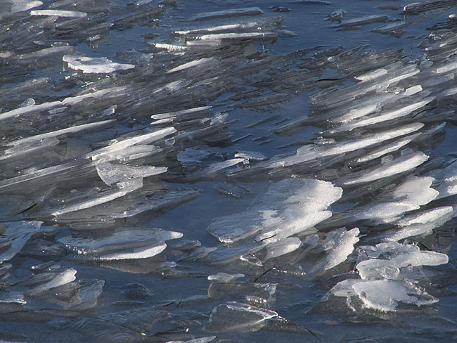 image/is_paa_fjorden-434.jpg