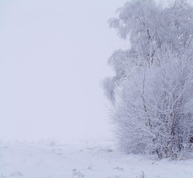 image/rimfrost-11.jpg