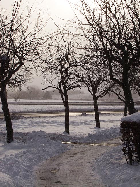 image/vinter-176.jpg