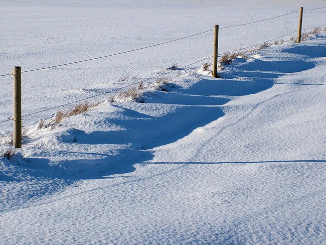 image/vinter_paa_landet-45.jpg