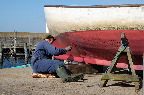 image/_foraar_paa_havnen-6261-1.jpg
