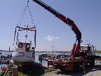 image/_soesaetning-91-1.jpg