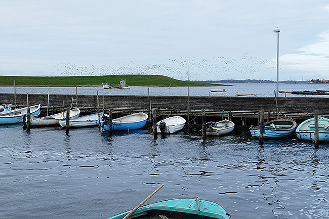 image/jyllinge_havn-9464-1.jpg