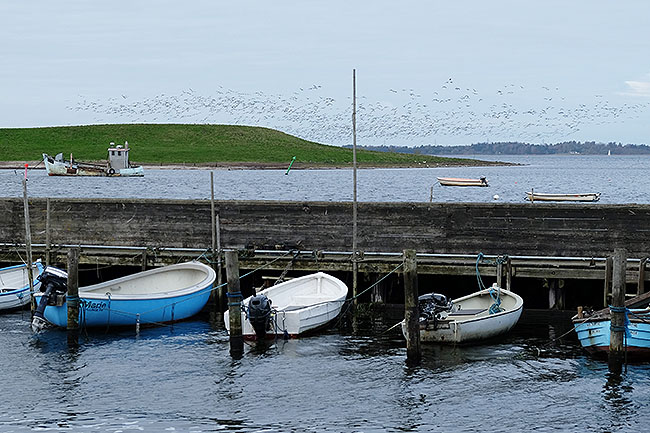 image/jyllinge_havn-9465-1.jpg