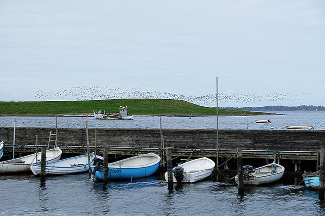 image/jyllinge_havn-9466-1.jpg